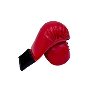 karate Gloves