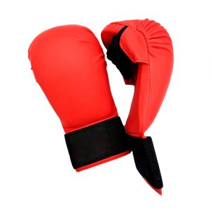 karate Gloves